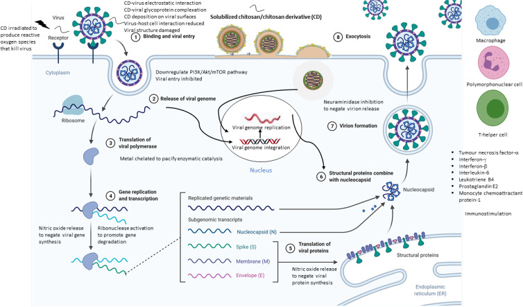 Unlabelled Image