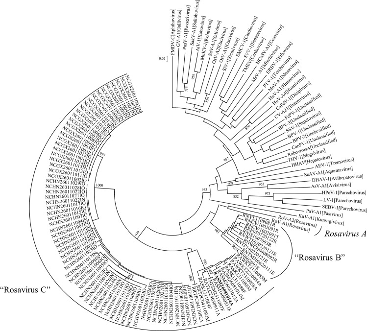 Fig 1