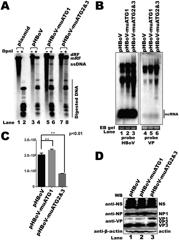 FIG 8