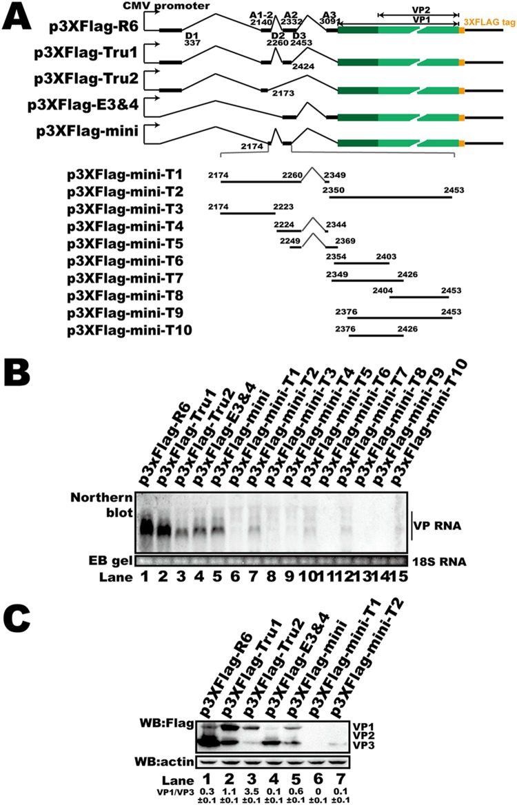 FIG 4