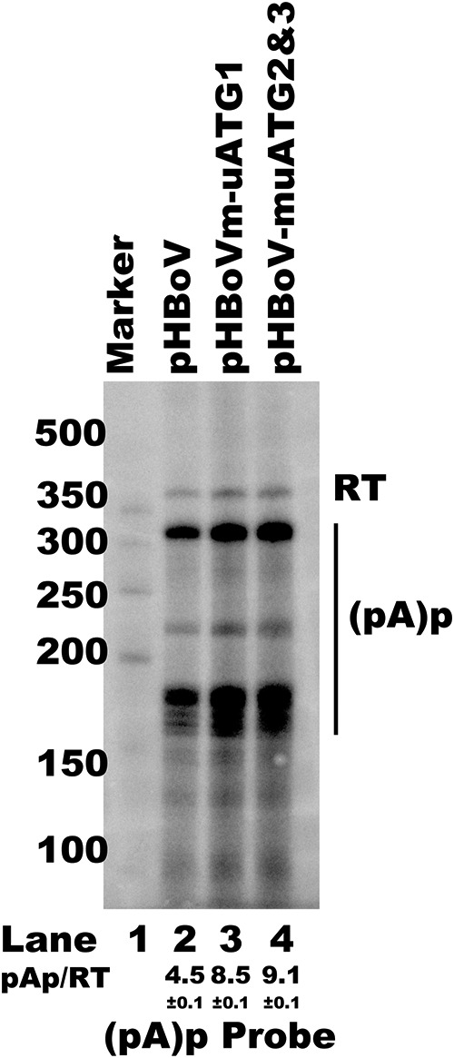 FIG 9