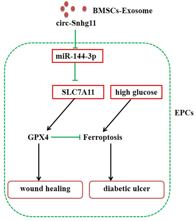 Fig. 8