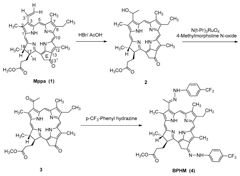 Scheme 1