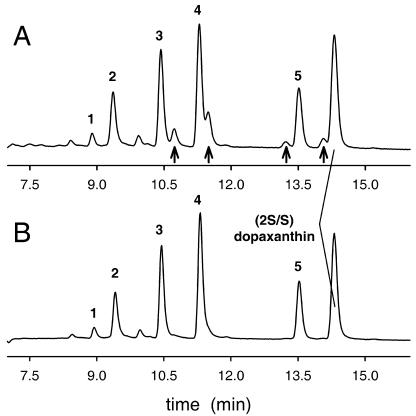 Figure 5.