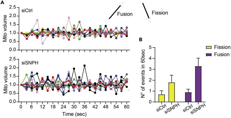 Figure 23