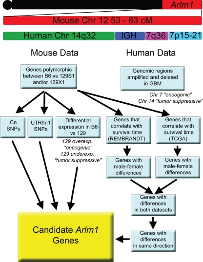 Fig. 3.