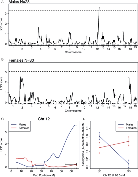 Fig. 2.