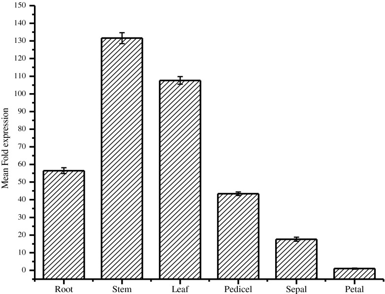 Fig. 4