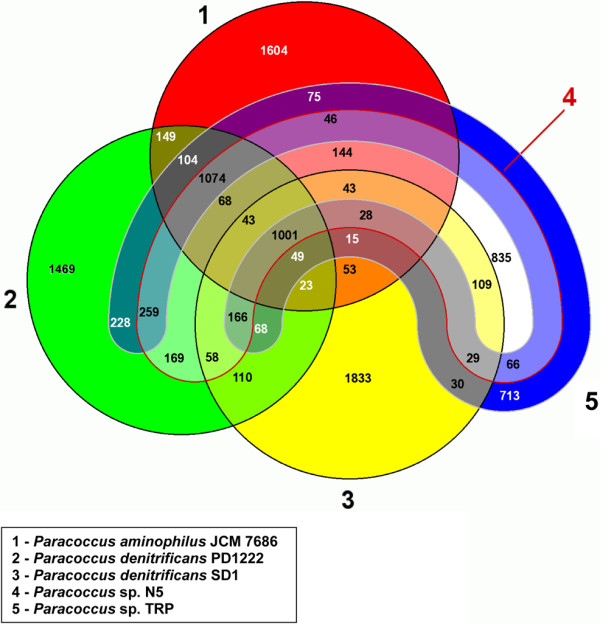 Figure 4