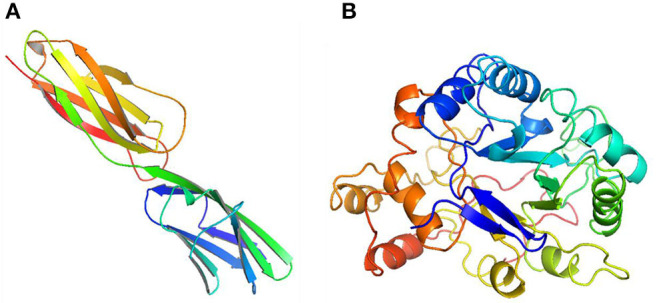 Figure 13