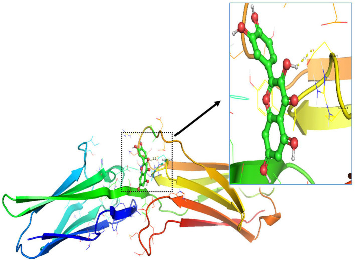 Figure 14