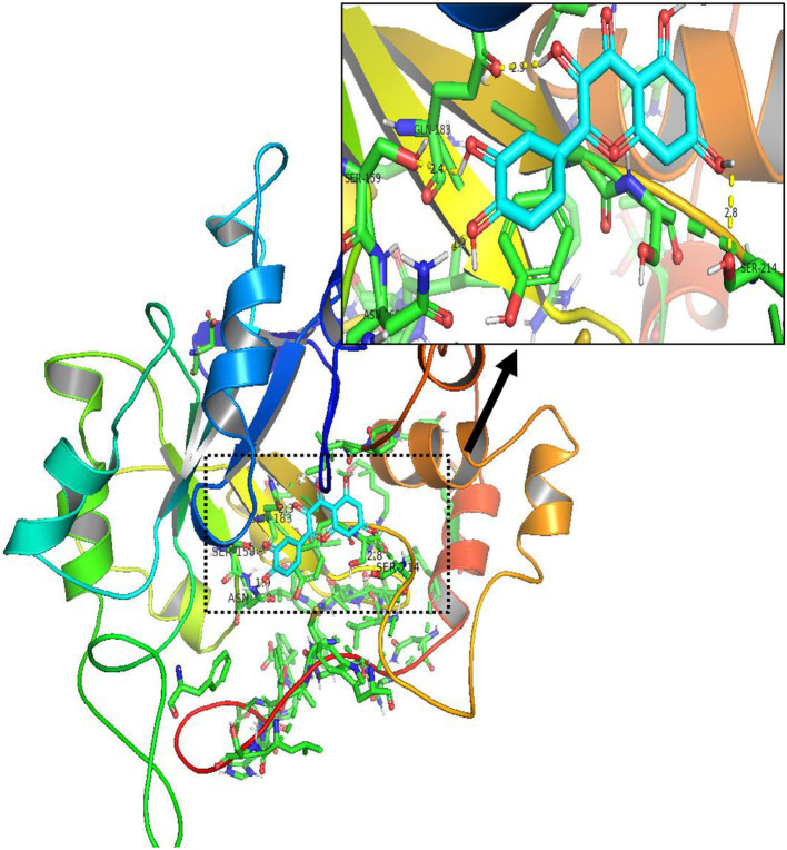 Figure 15