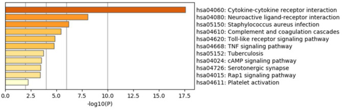 Figure 7