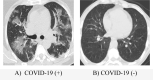Fig. 9