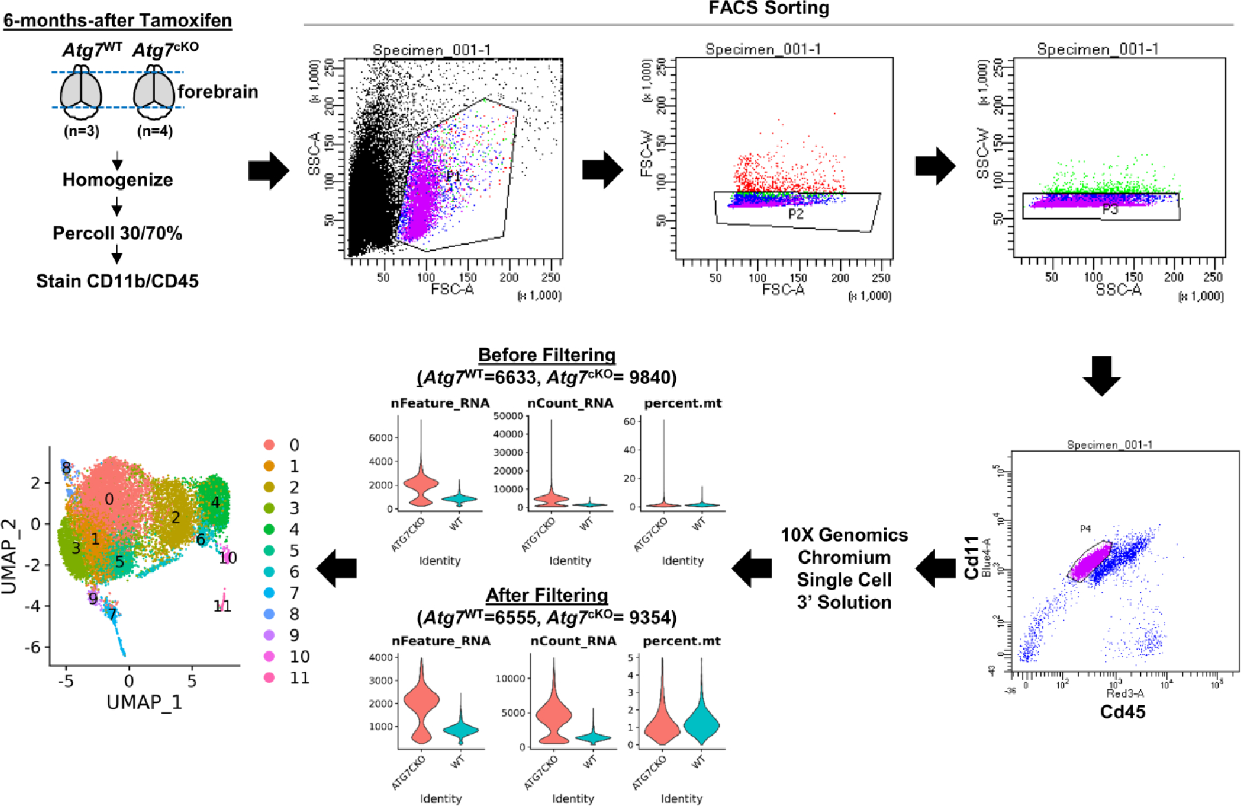 Extended Data Fig. 5 |