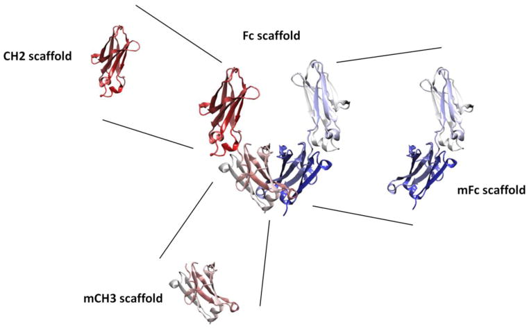 Fig. 1