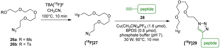 Scheme 13