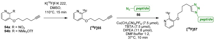 Scheme 22