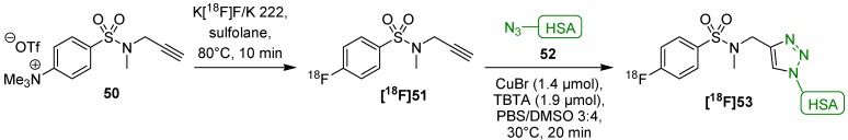 Scheme 21