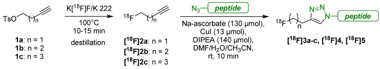 Scheme 4