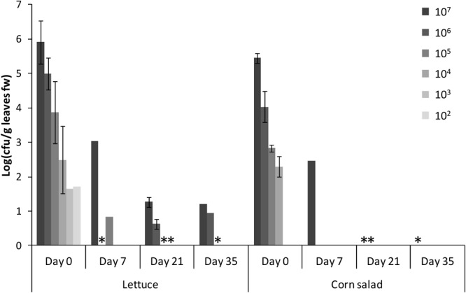 FIGURE 4