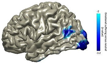 Fig. 3.