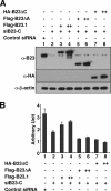 FIG. 7.