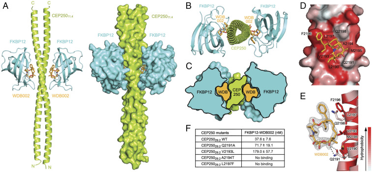 Fig. 3.