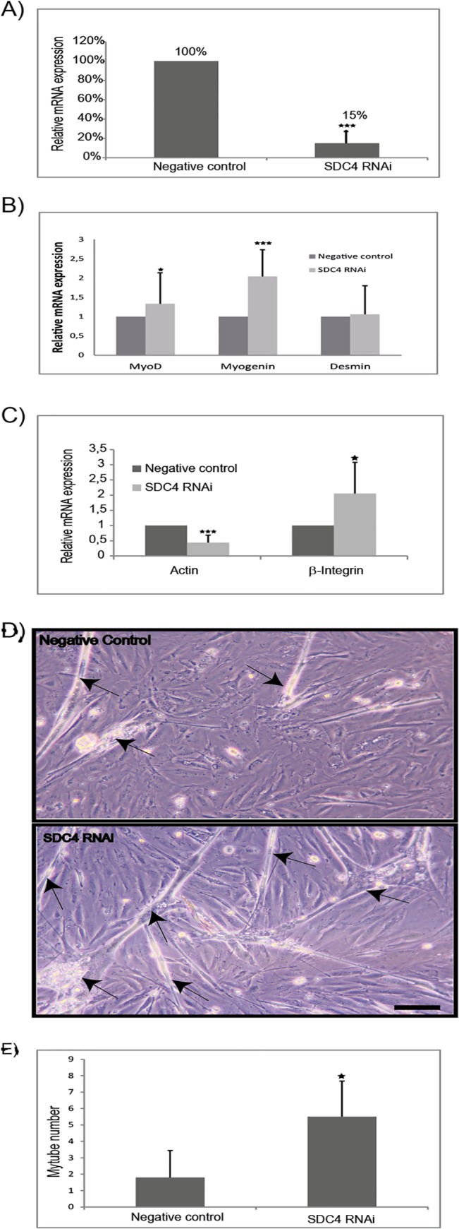 Fig 7