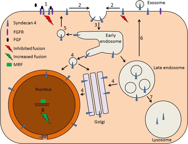 Fig 10