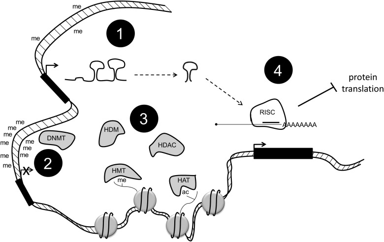 FIG. 1.