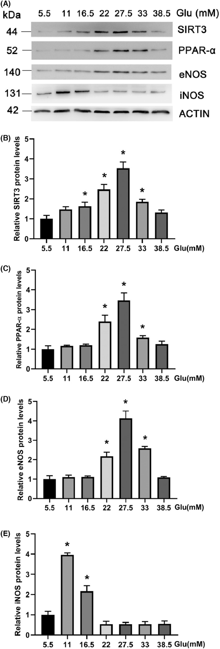 FIGURE 3