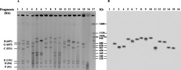 FIG. 2.