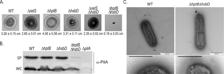 Fig 5