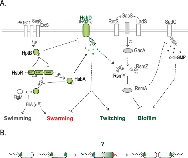 Fig 11