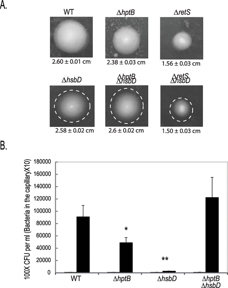 Fig 6