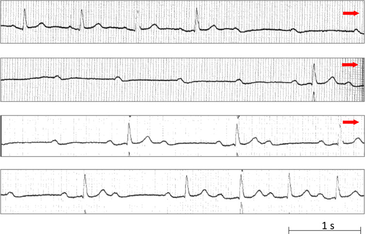 Fig. 4.