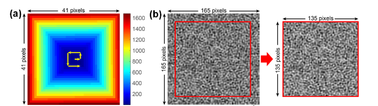 Fig. 12