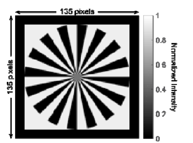 Fig. 10