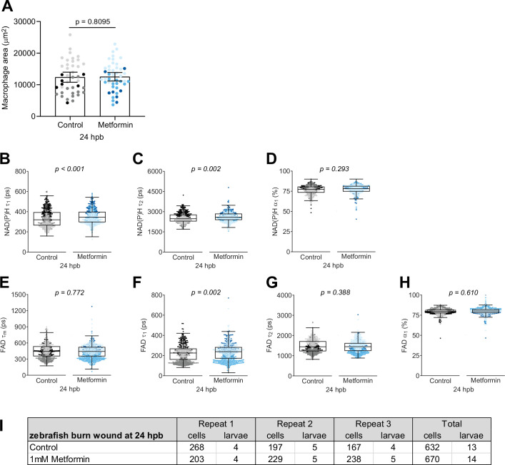 Figure 5—figure supplement 1.