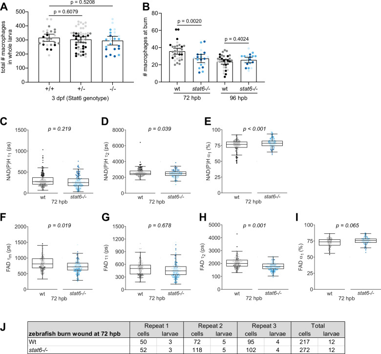 Figure 6—figure supplement 1.