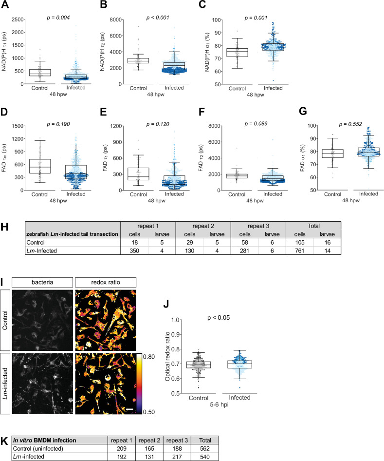 Figure 3—figure supplement 1.