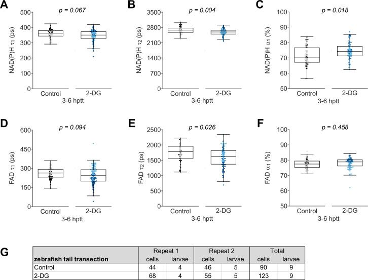 Figure 1—figure supplement 1.