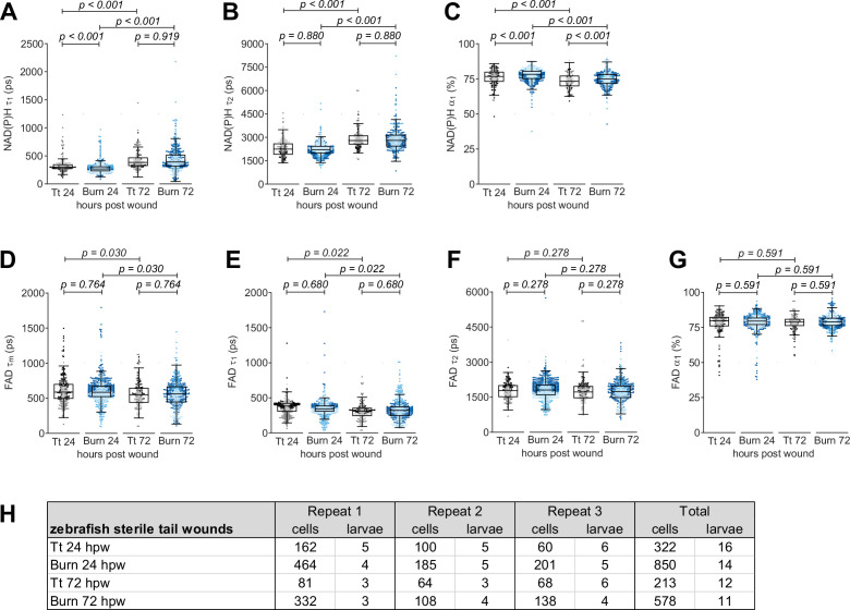 Figure 4—figure supplement 1.