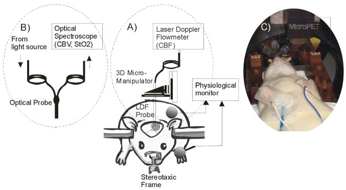 Fig. 1