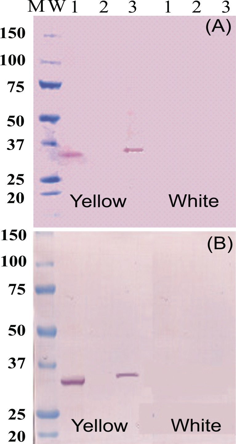 Fig. (4)