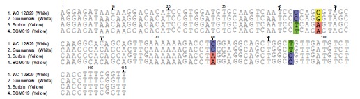 Fig. (7)