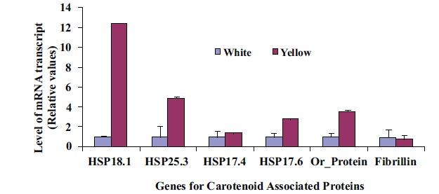 Fig. (5)