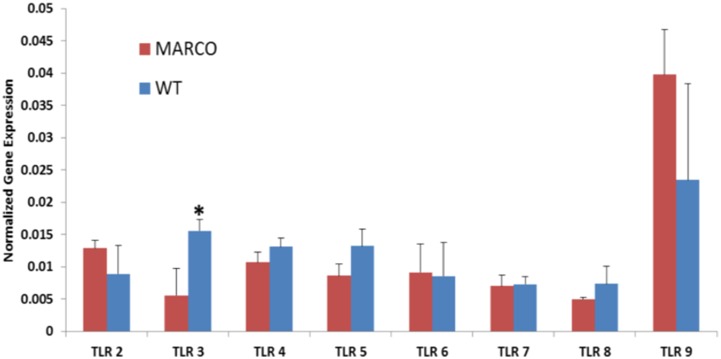 Figure 9