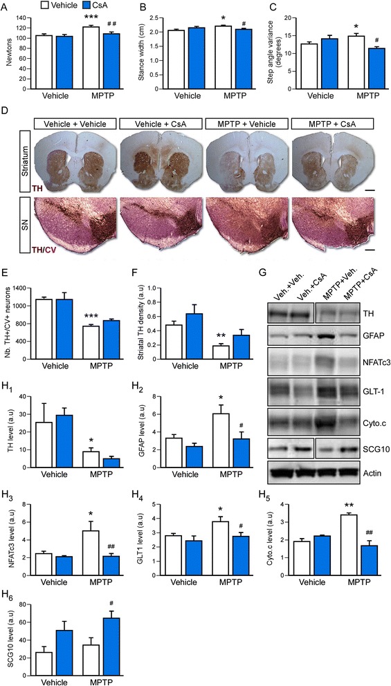 Fig. 6